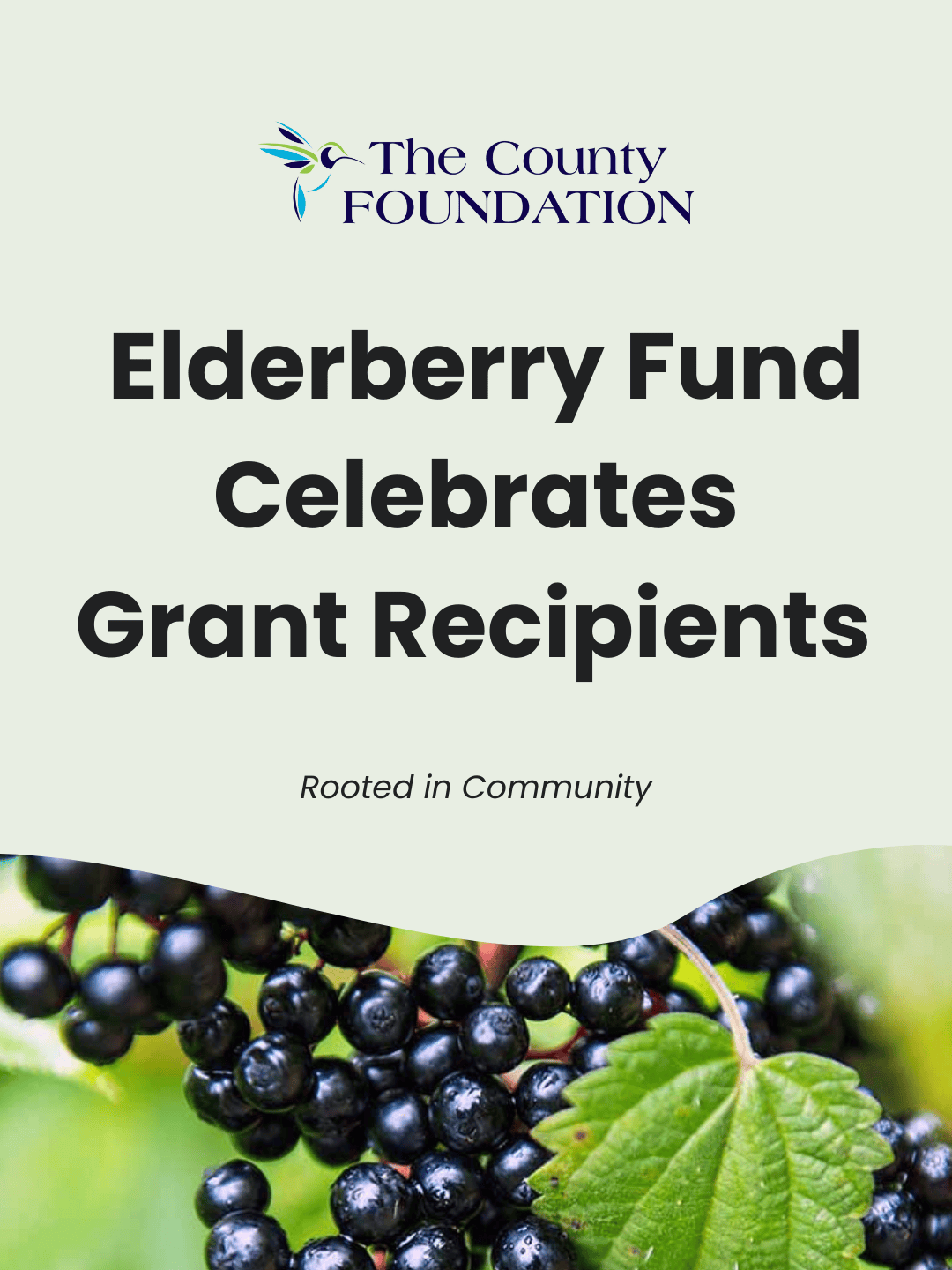Elderberry Fund Celebrates Grant Recipients